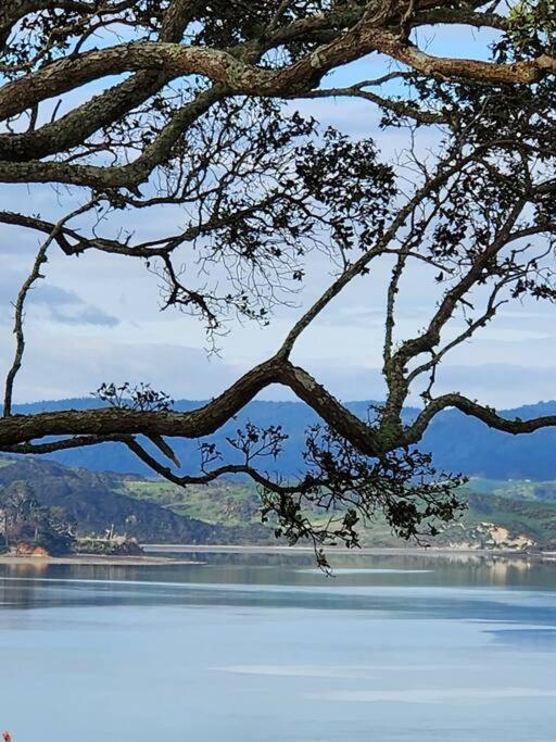 Orca Lodge Raglan Dış mekan fotoğraf